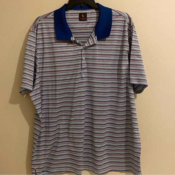Tailorbyrd Men’s Size 3XL Golf Polo Multicolor Stripe Egyptian Cotton Casual - Picture 2 of 13